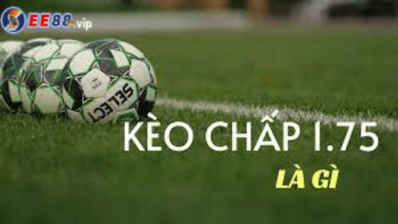 Chênh lệch tỷ lệ và cách nhà cái phản ứng